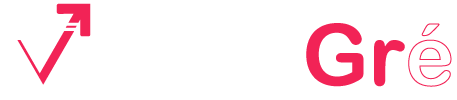 Logo Agence Web VENEGRE